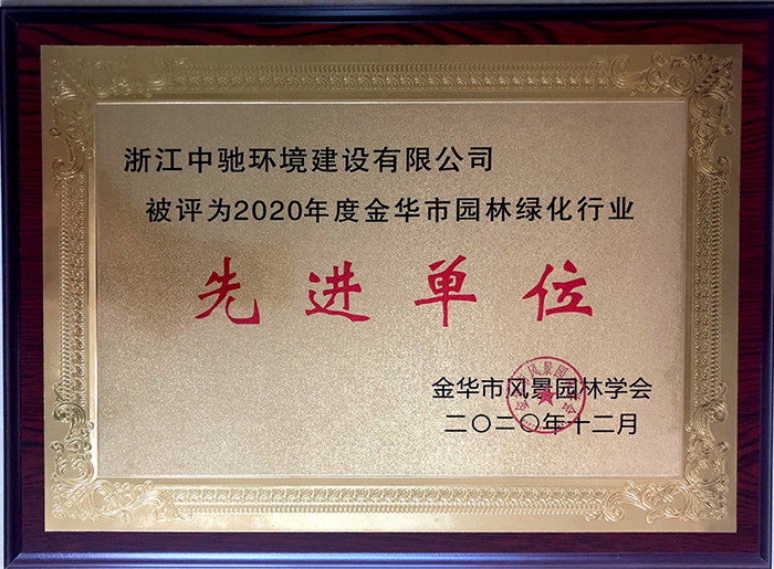 2020先进单位